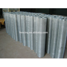 Best selling Galvanized Steel Welded Wire Mesh Rolls/bird cage welded wire mesh